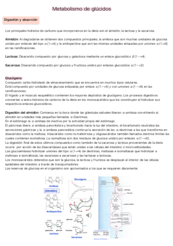 Metabolismo-de-glucidos.pdf