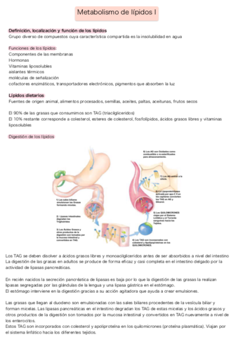 Metabolismo-de-lipidos-I.pdf