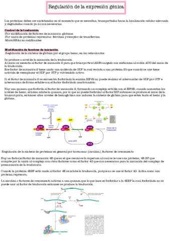 Regulacion-de-la-expresion-genica-a-nivel-de-la-traduccion.pdf