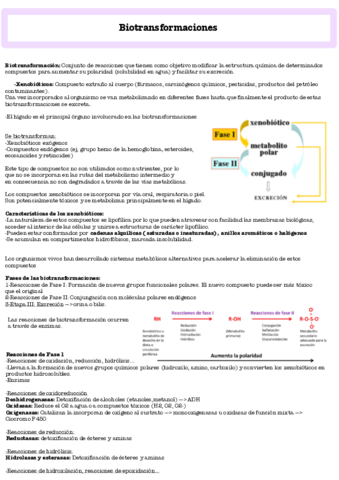 Metabolismo-de-Xenobioticos-y-biotransformaciones-.pdf