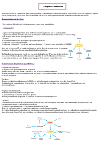 Integracion-metabolica-parte-A.pdf