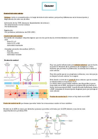 Cancer.pdf