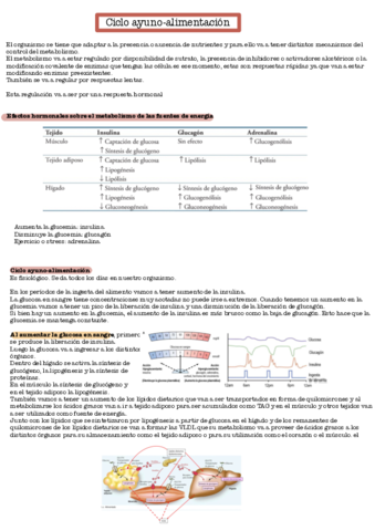 Ciclo-ayuno-alimentacion.pdf
