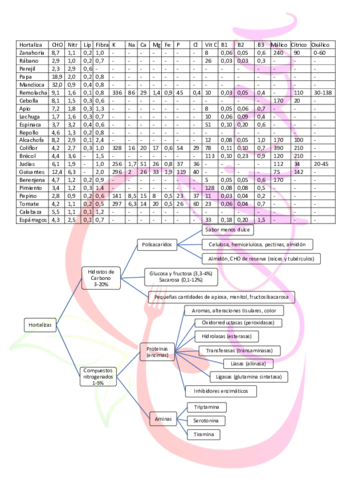 Hortalizas-quimica.pdf