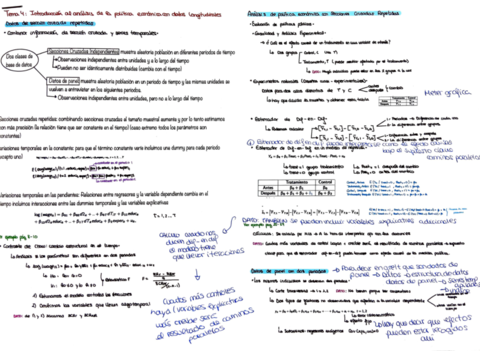 apuntes-tema-4.pdf