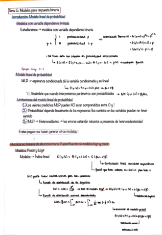 apuntes-tema-5-6.pdf