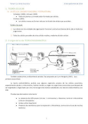 TEMA-4-CELULA-EUCARIOTA.pdf