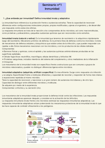 Seminario-inmunidad.pdf