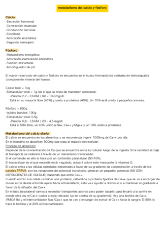 Metabolismo-fosfo-calcio.pdf