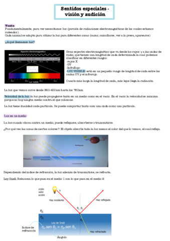 Sentidos-especiales-vision-y-audicion.pdf