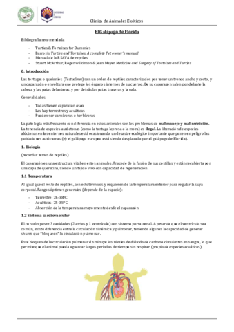 Galapago.pdf