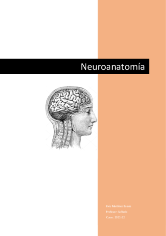 4-neuro.pdf