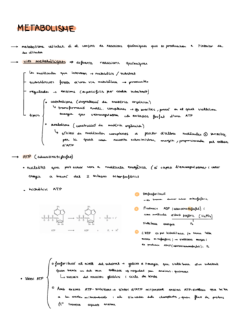 Metabolisme-I.pdf