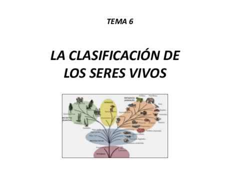 Tema-6.pdf