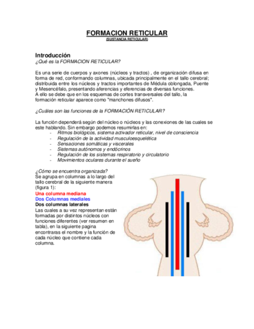 Parte-3-Resumensnellneuro.pdf