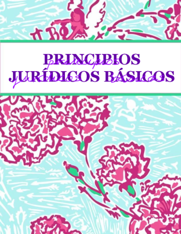 Principios-Juridicos-Basicos-1.pdf