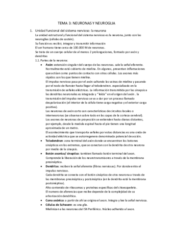 T3-NEURONAS-Y-NEUROGLIA.pdf