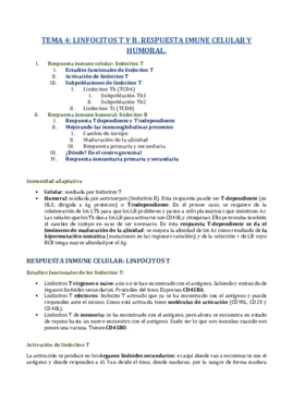TEMA 4.pdf