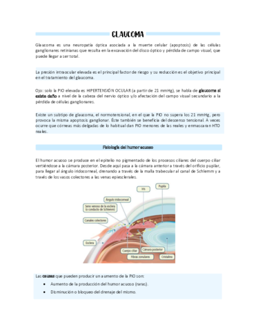 GLAUCOMA.pdf