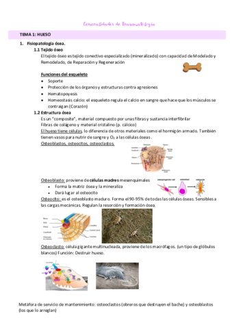 generalidades-Dr.pdf