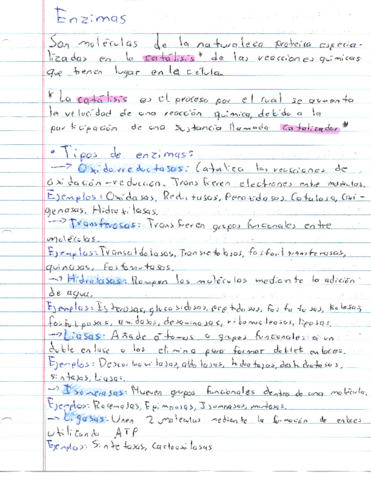 Resumen-Enzimas.pdf