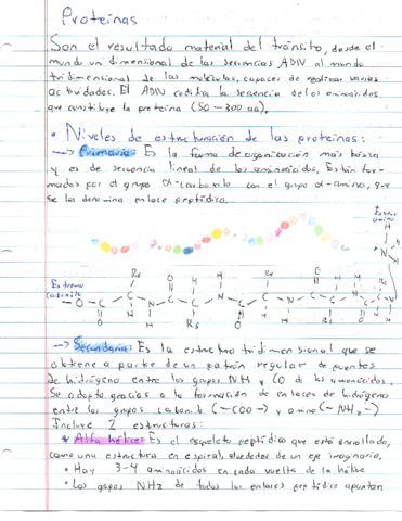 Resumen-Proteinas.pdf