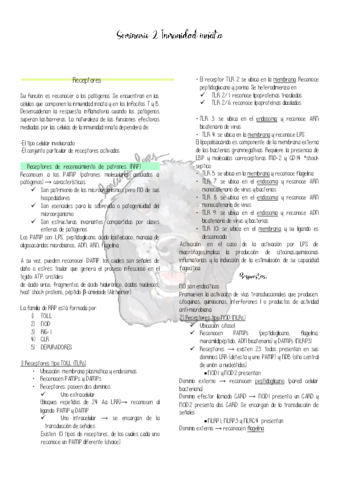 SEMINARIO-2-.pdf