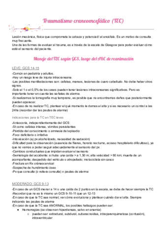 Traumatismo-craneoencefalico-Resumen.pdf