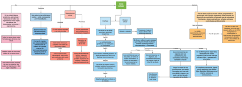 CICLO-CELULARCRUZMARINJOHANA.pdf