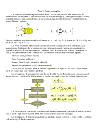Tema-9-redes-neuronales.pdf