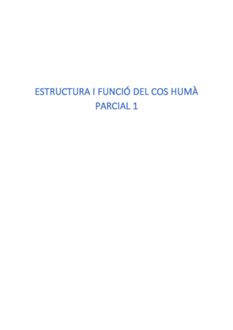 PARCIAL-1-ESTRUCTURA.pdf