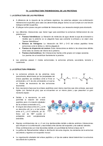 T4-BQ-La-Estructura-Tridimensional-de-las-Proteinas.pdf