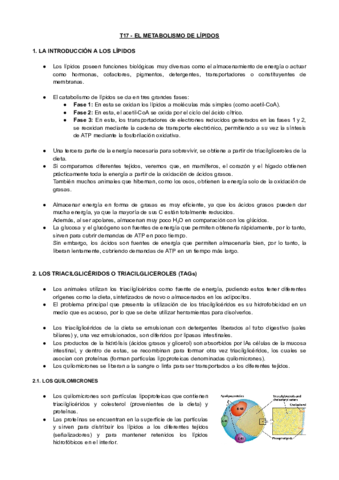 T17-BQ-El-Metabolismo-De-Lipidos.pdf