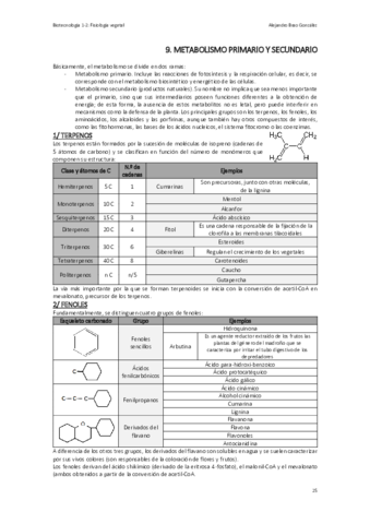 T9-FV-El-Metabolismo-Primario-y-Secundario.pdf