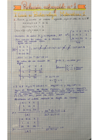 Primera-actividad-entregable.pdf