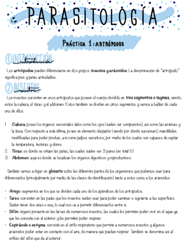 Practica-1-Artropodos.pdf