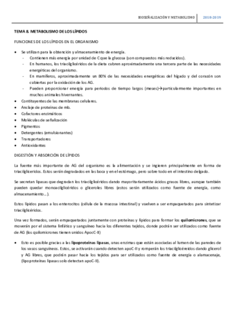 TEMA-8-BSM-LIPIDOS-TERMINADO.pdf