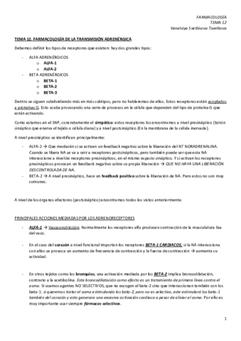 TEMA-12.pdf