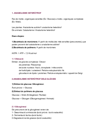 T4-Anabolisme-heterotrof.pdf