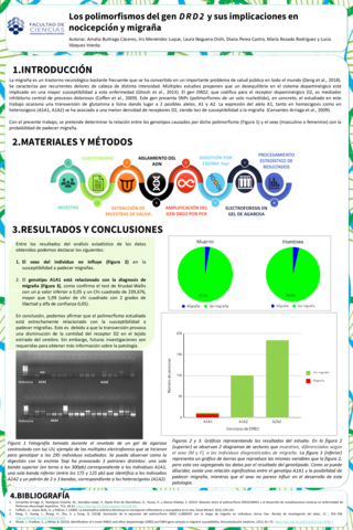 Poster-Lab-Avanzado-Genetica.pdf