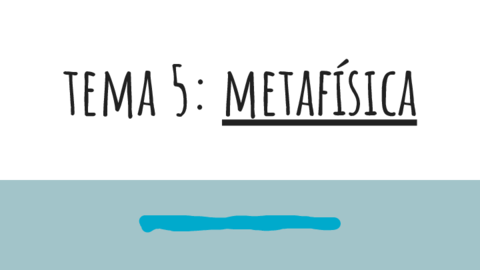 METAFISICA.pdf
