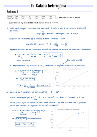 P5-Catalisi-heterogenia.pdf