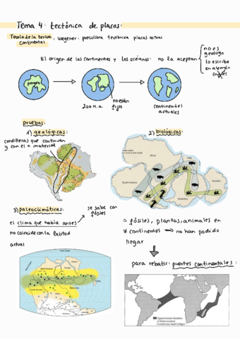 TEMA 4 GEOLOGIA
