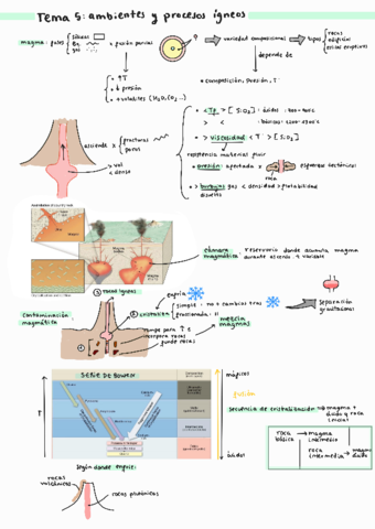 TEMA 5 GEOLOGIA