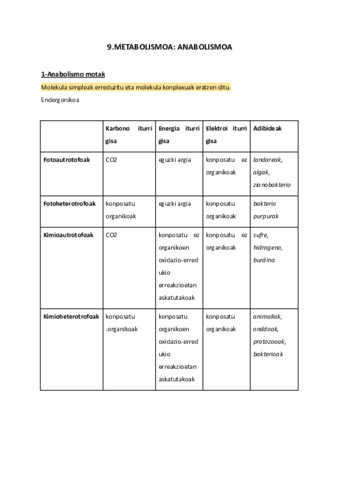 Documento-sin-titulo.pdf