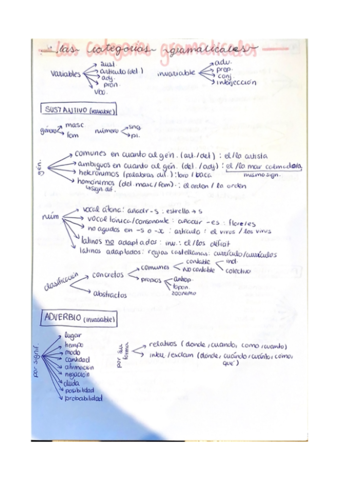 cat-gram.pdf