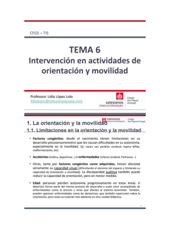 T6-INTERVENCION-ORIENTACION-Y-MOVILIDAD.pdf