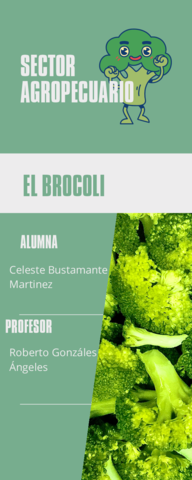 producto-agropecuario-brocoli.pdf