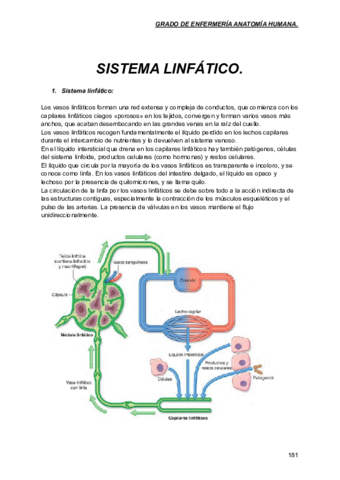 Sistema-linfatico-tema-10.pdf