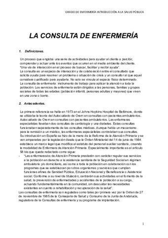 La-consulta-tema-5.pdf